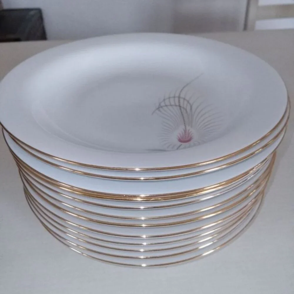 RHEINPFALZ HARTPORZELLAN: 12 porcelain soup plates - Picture 2 of 4